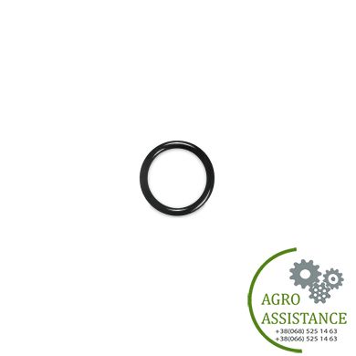 272344 Кольцо уплотнительное CNH | Agro Assistance