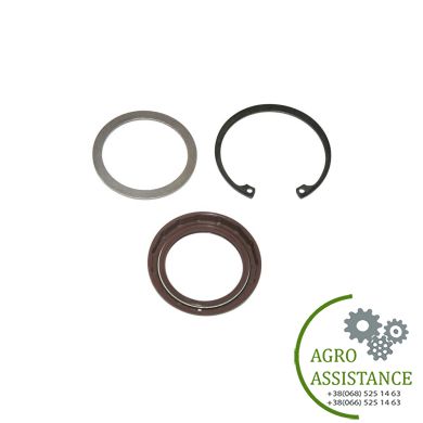 403145A1 Уплотнение вала ГСТ 403145A1 |Agro Assistance