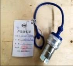 NV 12NPT F+TM12 L Внутрішня муфта|Agro Assistance