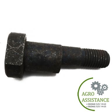 ПК 00.611 Болт-эксцентрик плуга ПНО-4 "Полигон" |Agro Assistance