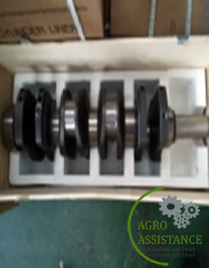 4RC.040301 Колінвал|Agro Assistance