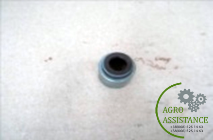 R.010019YA Сальник клапана|Agro Assistance