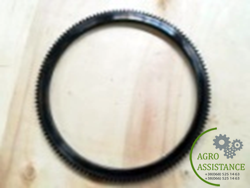 R.040602 Кольцевое колесо маховика |Agro Assistance