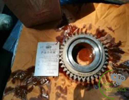 1204.37.112SZ Ведуча шестерня 3 передачі III|Agro Assistance