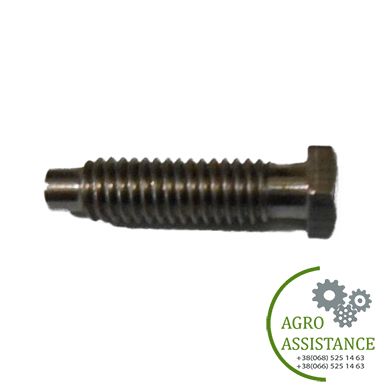 3010134(Lemken) Болт 6-ти гран. M6x22,5 A2 Zapf. | Agro Assistance