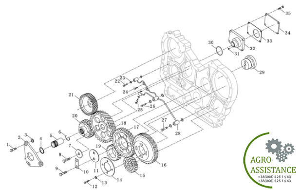 Шестерни ГРМ в сборе YTO-X904