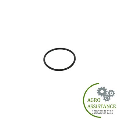 510185 Кільце насоса водяного ущільнювача середнє |Agro Assistance