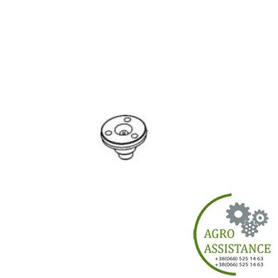 070SC119 Полушкворень кулака поворотного (T80..,TG,Mag,MX) | Agro Assistance