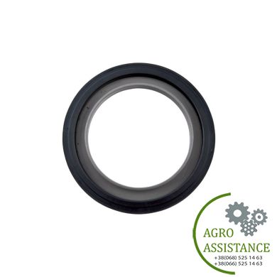 169329C91 Уплотнение внутреннее цапфы колесной |Agro Assistance
