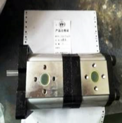 2CBN-G320/310 Зубчатый насос, 4 зубца |Agro Assistance