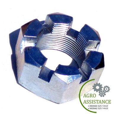 ПД-2,5.01.652 Гайка оси корончатая (корпус обслужив.) (М30х2) ПД-2,5 |Agro Assistance