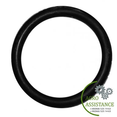 320030 Кольцо упл. клапана насоса (31,5х4,25мм) AR 70-115-135 | Agro Assistance