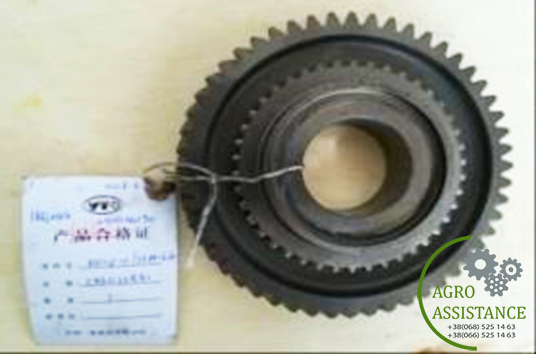 1.28.115/5118916SZ Відома шестерня 1 передачі I|Agro Assistance