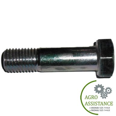 3014603 Болт (3014602) 6-ти гран. M20x75ls45xb25-8.8 Zn | Agro Assistance