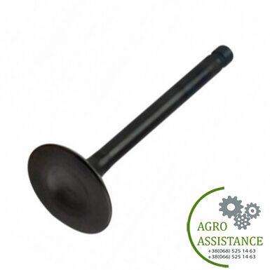 87343688 Клапан впускний (4089761), 2388/5088 |Agro Assistance | Agro Assistance