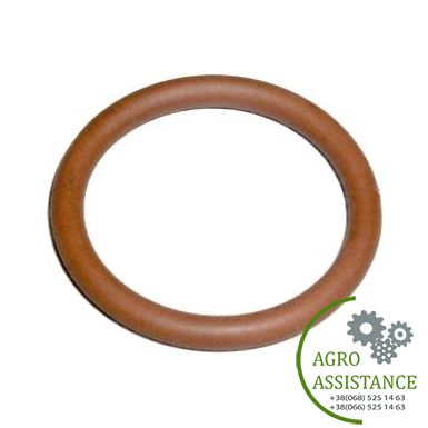 17282081 Кільце (4898439/2853563), TC5080 / T7060 |Agro Assistance | Agro Assistance