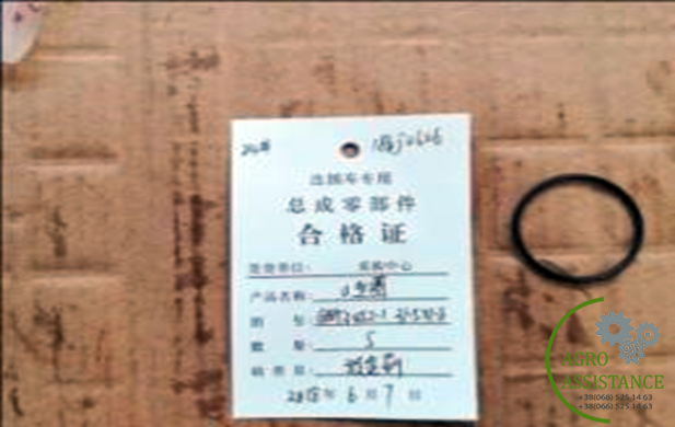 GB/T3452.1 31.5*1.8 Сальник 31.5&times;1.8 |Agro Assistance