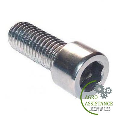 239050.0 Болт М8х12 |Agro Assistance | Agro Assistance