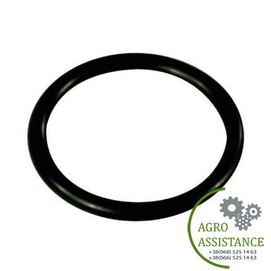 680070 Кольцо упл. клапана насоса (31,5х4,25мм) AR 70-115-135-160-185-250-280 (Италия) | Agro Assistance