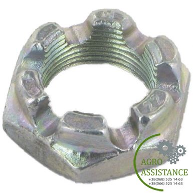 3030193 Корончатая гайка DIN937-M24x1,5-22H | Agro Assistance