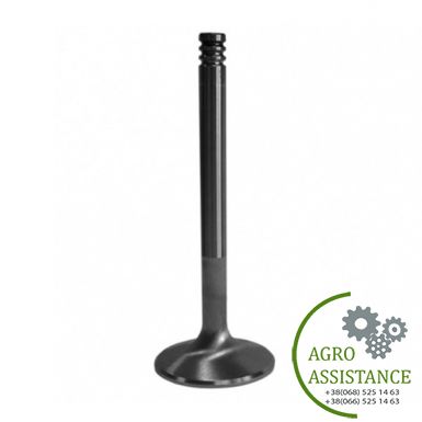 87343693 Клапан выпускной (4089762), 2388/5088 |Agro Assistance | Agro Assistance