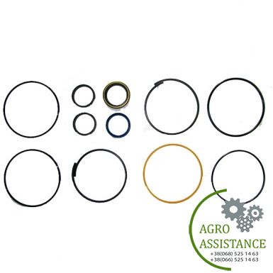 87409040 Комплект ущільнень г / циліндра, RMX370 / TMII |Agro Assistance
