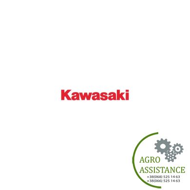 4932773920 Комплект (Kawasaki) уплотнений 4932773920 |Agro Assistance