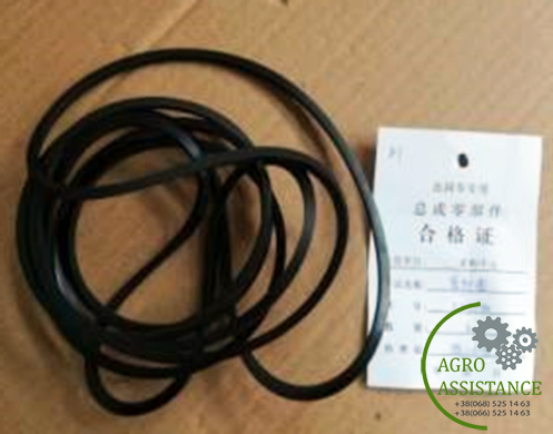 1.65.331/5105536 Зовнішнє ущільнююче кільце 263.6*3.4*3.4|Agro Assistance