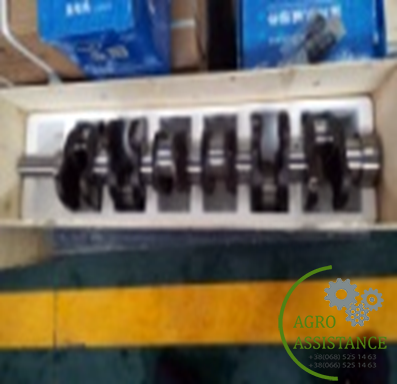 6RC.040001B Коленчатый вал |Agro Assistance