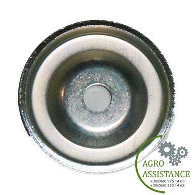 3191133 Колпак D67,12/12,25 t=3Zn | Agro Assistance