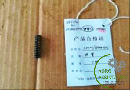 1.29.031/884994342 Пружина|Agro Assistance