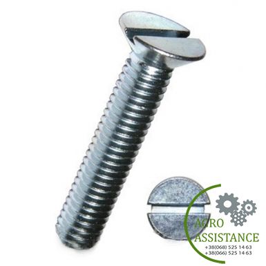 237797.1 Гвинт М8х30 Claas |Agro Assistance | Agro Assistance