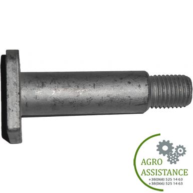 J2025136 Болт (ось) 6061705 крепления ножей измельчителя (KUHN RM) Франция |Agro Assistance