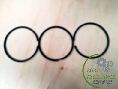RA/E.050002/03/0200 Поршневе кільце|Agro Assistance