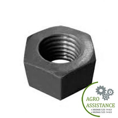 14H887 Гайка 1 1/8-7 вала диск. бороны (14H891/A20177/86624025), JD |Agro Assistance