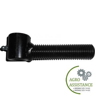 49110900 Болт регулировочный M24x116 D20x38,5 M6 Лемкен R000953 | Agro Assistance