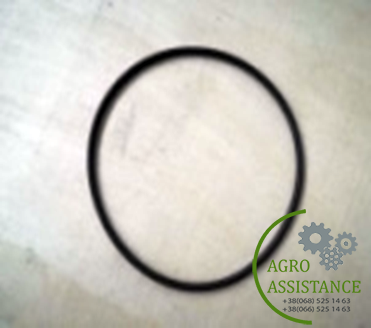 R.410001 Кольцо насоса |Agro Assistance