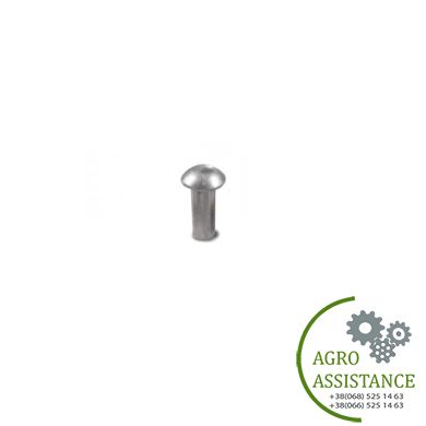 137636 Заклепка крепления сегмента (74C, 3020) 80137636 >> 137636 |Agro Assistance