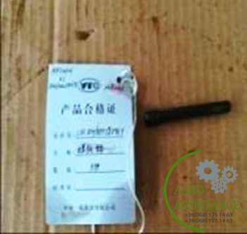 1.32.124/885152965 Штифт|Agro Assistance