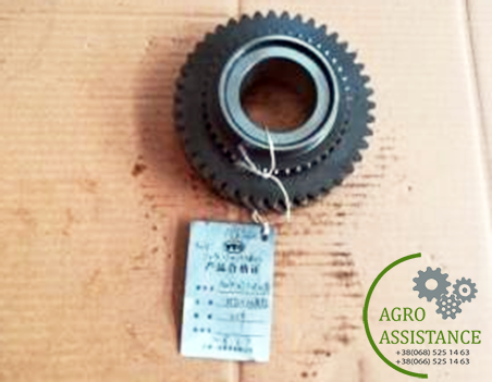 1204.37.108SZ Ведуча шестерня 1 передачі I|Agro Assistance