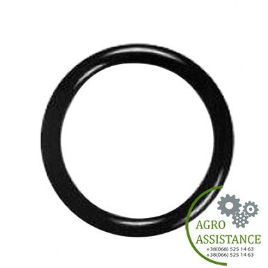 47465268 Кільце уплотн. (13x2.5) (86623899), CX |Agro Assistance | Agro Assistance