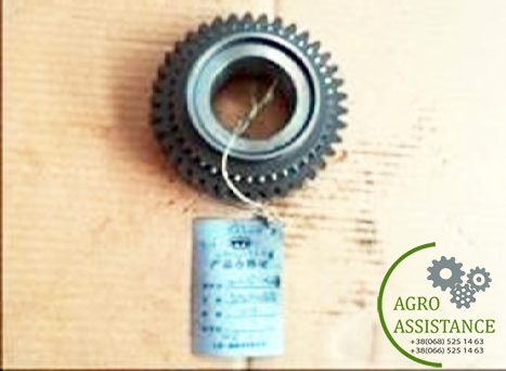 1204.37.110SZ Ведуча шестерня 2 передачі II|Agro Assistance