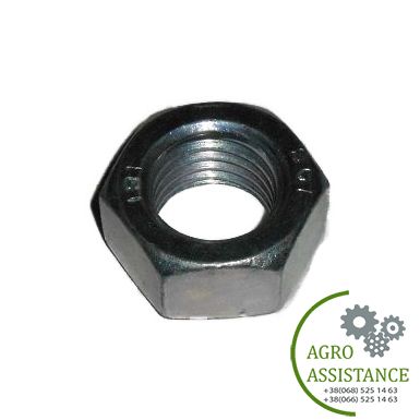 3031019 Гайка M24 (3030980) DIN934-8 Zn | Agro Assistance