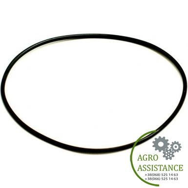 J926048AM CNH Кільце уплотн. (J926048), MX / 2388 | Agro Assistance